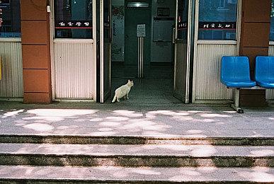 《篝火邂逅》6月登陆Steam 手绘风治愈系旅行冒险